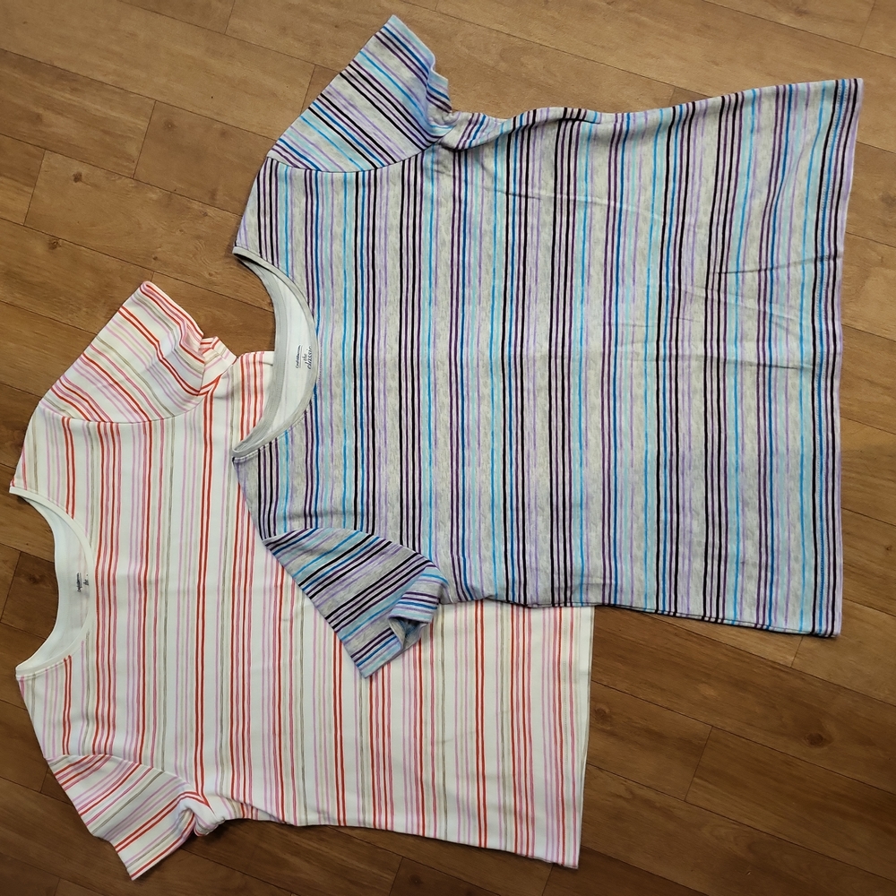 Lot of 2 short sleeve tees